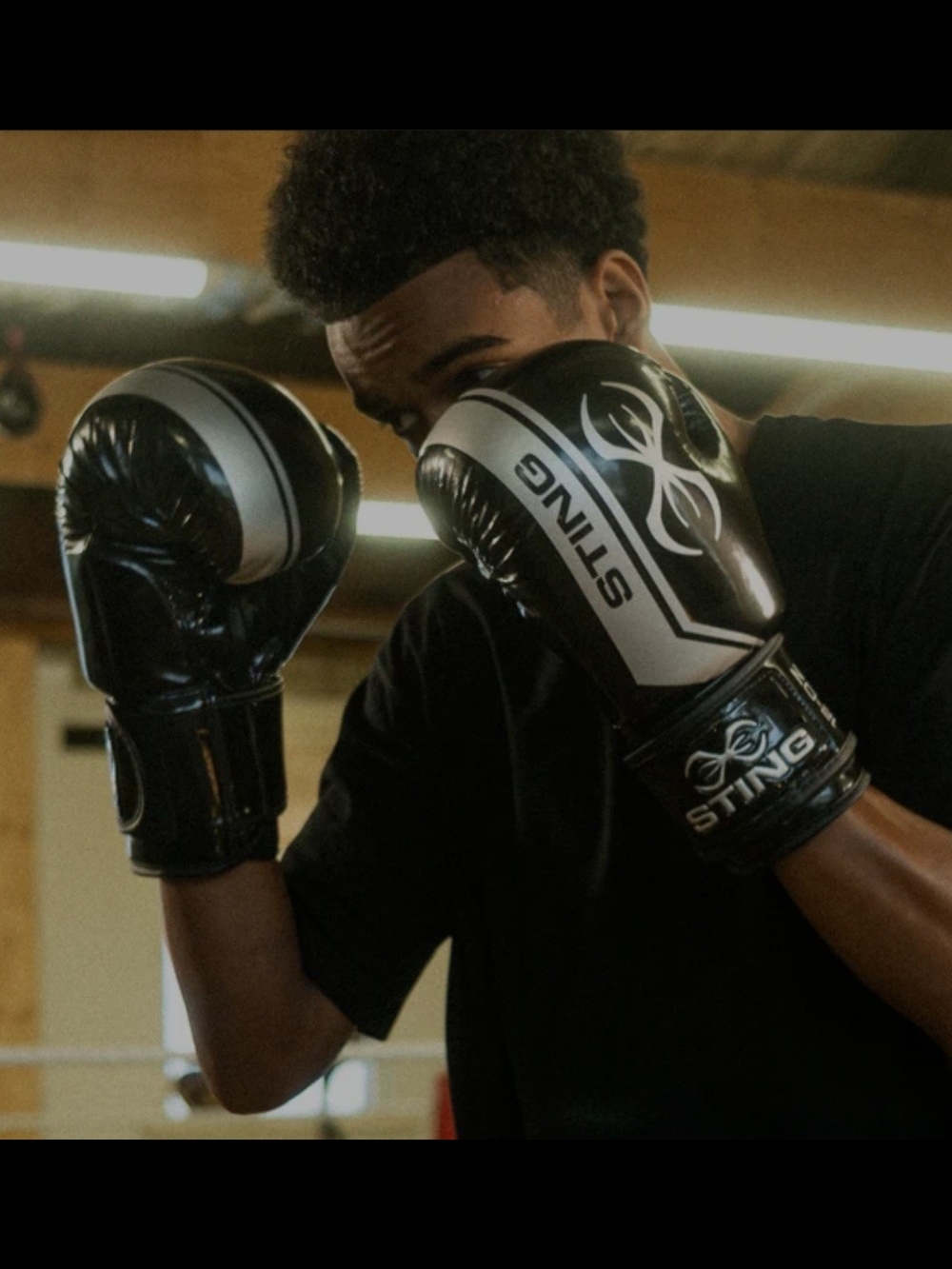 Sting 🕷 Boxing Gloves 🔥